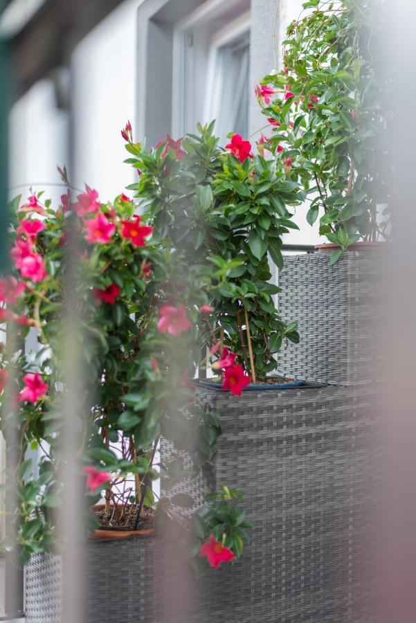Orchideen Apartment فيلاخ المظهر الخارجي الصورة